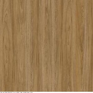 UG-N 60x60 ไมยราบ(II)-เนื้อ R/T (R) (A)