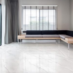 60x60 ฟอร์ริทซี่ R/T(R)(POL)(FAM)(A)