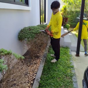 ตัดหญ้าสูงและเคลียร์พื้นที่รกร้าง